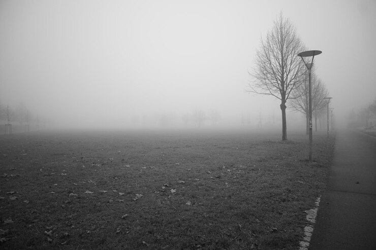 Photo des arbres nus sur le champ contre le ciel