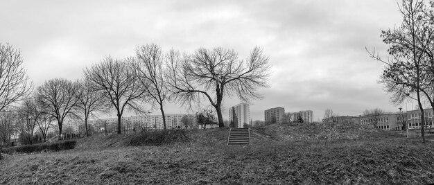 Photo des arbres nus contre un ciel nuageux