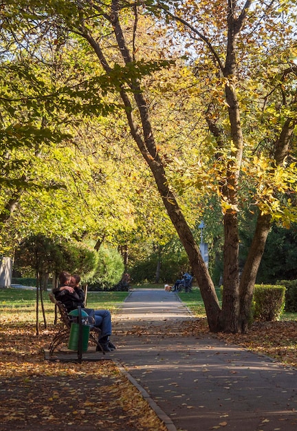 Arbres à l'ombre du feuillage d'automne et une route piétonne dans le parc d'automne par une journée ensoleillée en Russie