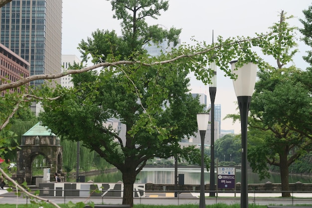 Photo des arbres par bâtiment dans la ville contre le ciel