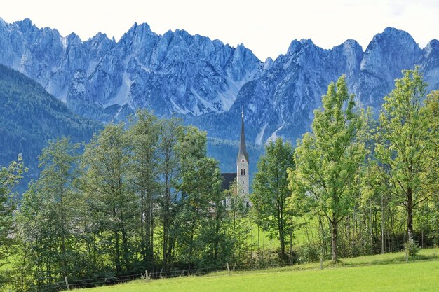 Photo des arbres sur le paysage contre des montagnes