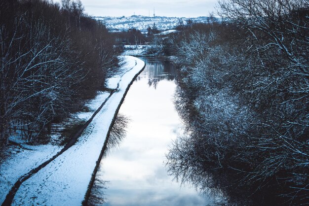 Photo des arbres sur un paysage couvert de neige contre le ciel