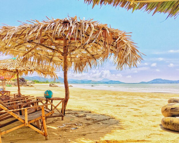 Photo des arbres sur la plage contre le ciel