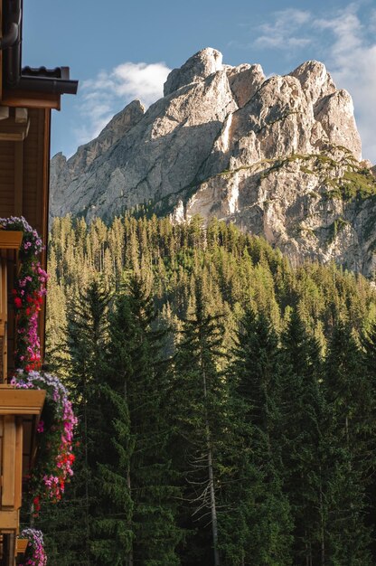 Photo des arbres et des plantes qui poussent sur des rochers contre le ciel