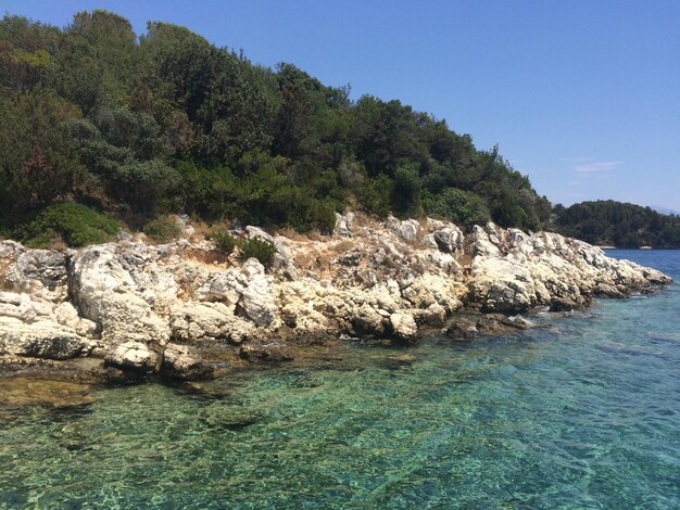 Des arbres poussant sur des rochers au bord de la mer contre un ciel bleu clair