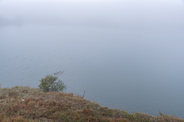 Les arbres et les prairies au bord du lac étaient brumeux dans le brouillard