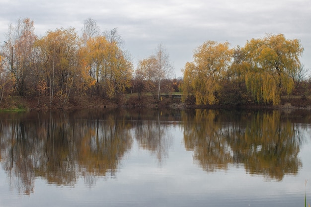 Arbres près du lac à l'automne