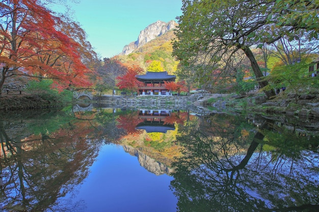 Des arbres près du lac contre le ciel en automne