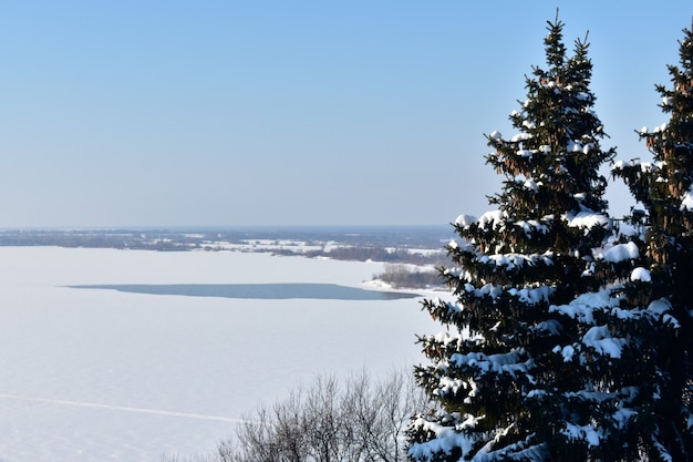 Arbres sur les rives de la Volga en hiver