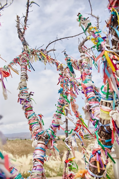 Arbres avec des rubans colorés sur les montagnes de la Cappadoce Goreme, Turquie