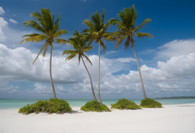 Des arbres avec le sable blanc sur la plage avec de beaux nuages ciel