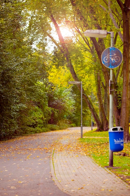 Arbres saisonniers et routes Nature verte dans le parc Photo