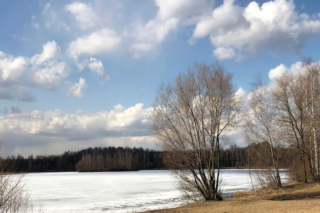 Photo des arbres sans feuilles sur le rivage d'un lac couvert de neige ou d'une rivière sous un ciel bleu avec des nuages blancs