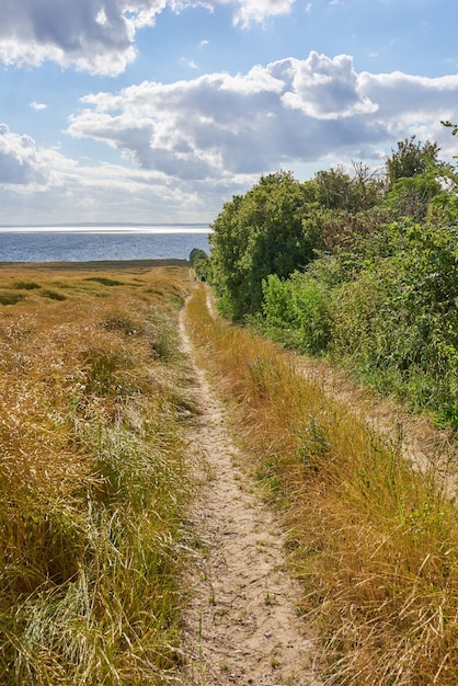 Des arbres de sentier et des voyages en plein air dans la nature avec un ciel bleu pour les vacances en mer environnement et lieu de randonnée paysage vue durable et itinéraire de sentier avec randonnée d'aventure voyage et direction