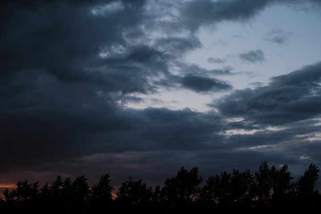 Arbres de silhouettes nuages dramatiques orageux pendant le coucher du soleil du soir