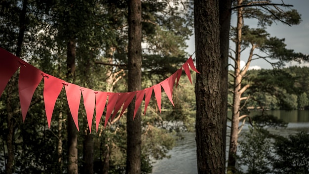 Photo des arbres suspendus à bandeaux rouges