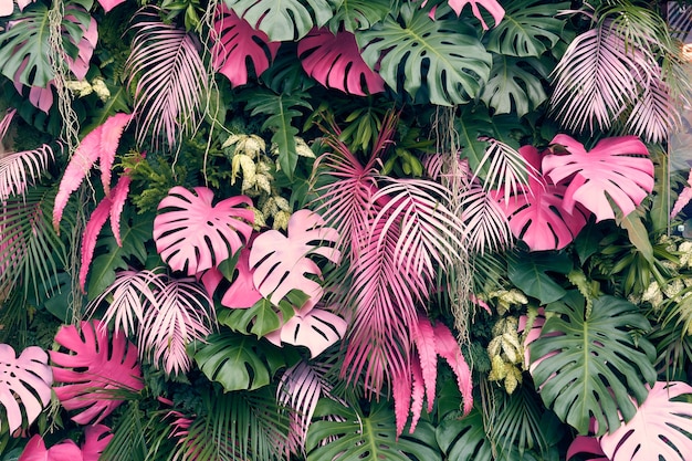 Photo arbres tropicaux disposés en arrière-plan ou plein mur il y a des feuilles de différentes tailles