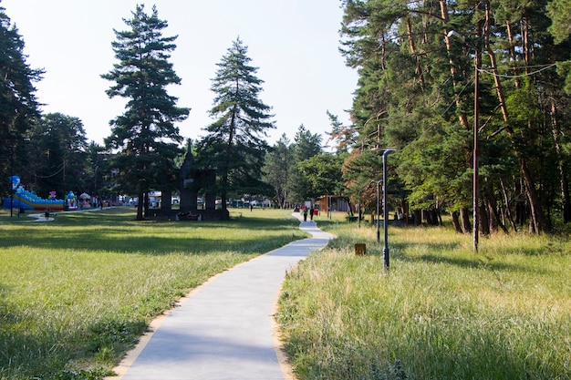 Arbres et trottoir dans le parc, parc à Manglisi, Géorgie