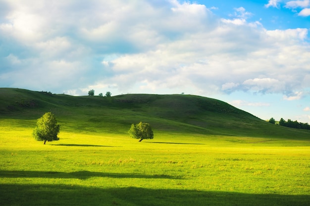 Arbres verts sur les collines avec herbe verte fraîche et ciel nuageux. Beau paysage d'été. Oural du Sud, Russie