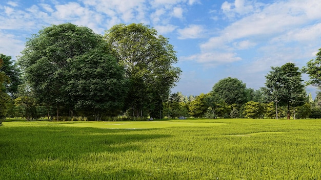 Arbres verts dans un magnifique parc