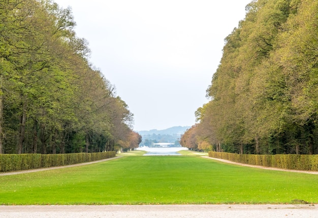 Arbres verts dans le parc du palais Herrenchiemsee