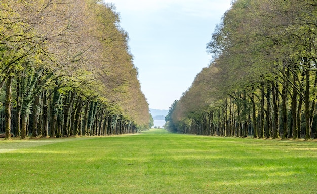 Arbres verts dans le parc du palais Herrenchiemsee