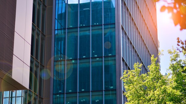 Arbres verts frais et concept d'entreprise d'immeuble de bureaux Bâtiment écologique dans le concept de ville moderne