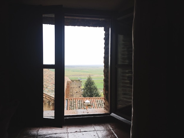 Photo des arbres vus par la fenêtre de la maison