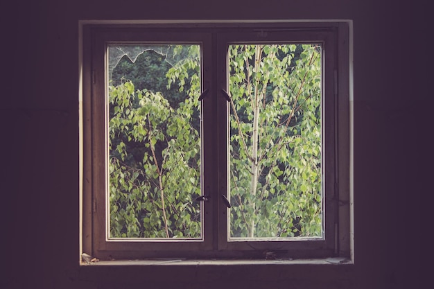 Photo des arbres vus à travers une fenêtre de verre fermée