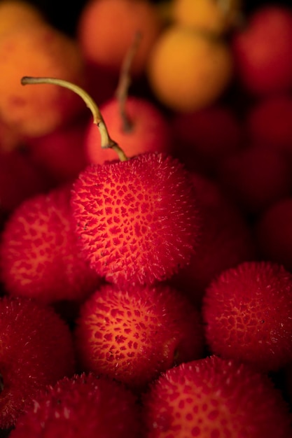 Arbutus, le fruit de l'arbousier, sur fond noir et avec espace de copie.