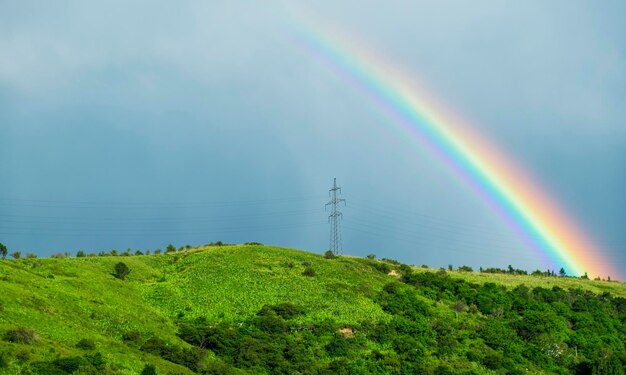 Arc-en-ciel sur la colline verte et le poteau électrique