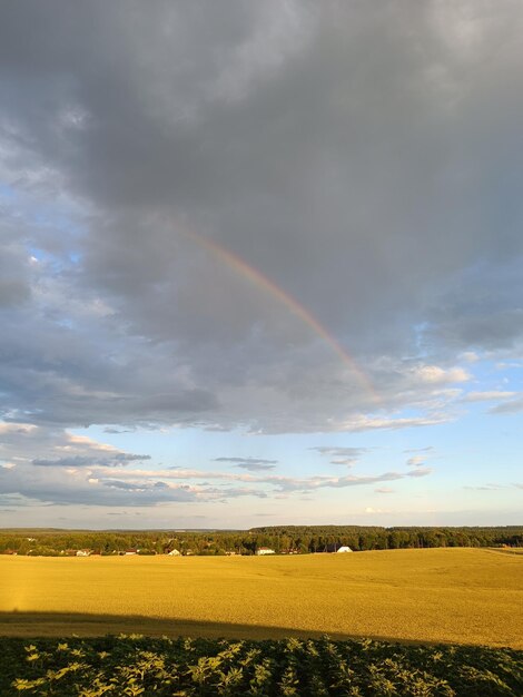 Un arc-en-ciel est dans le ciel au-dessus d'un champ.