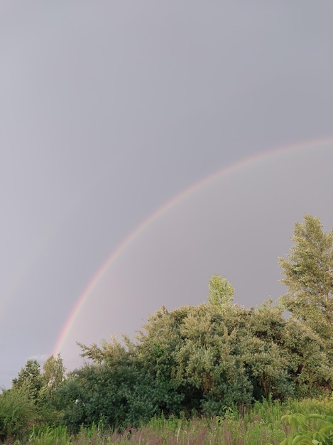 Photo un arc-en-ciel plein après la pluie contre le ciel