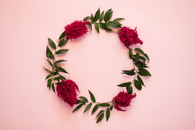 Arc de fleurs fraîches se trouvent sur un fond rose - Image