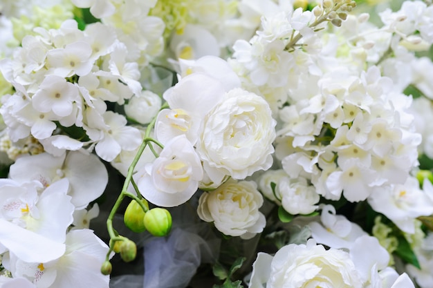 Arc de mariage d&#39;orchidées blanches et de roses