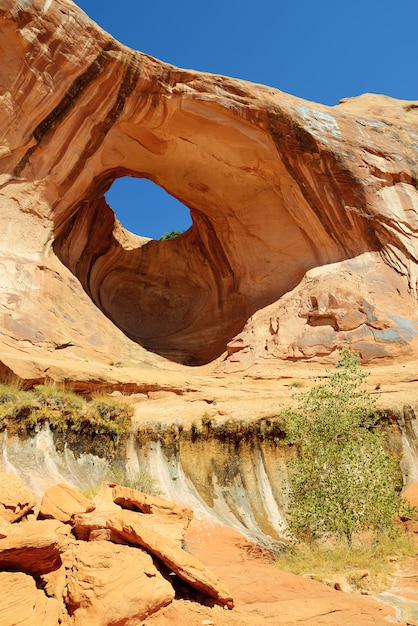 Arc de noeud papillon