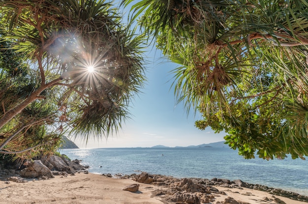 Photo arche d'arbre avec la lumière du soleil sur la plage avec la mer tropicale