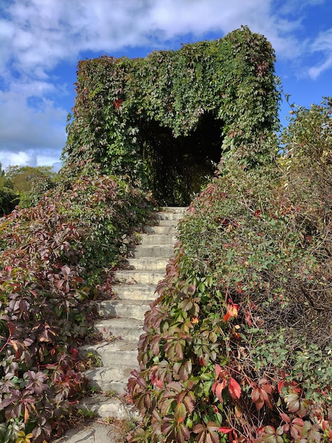 Une arche naturelle en forme de cœur dans un parc public de la ville