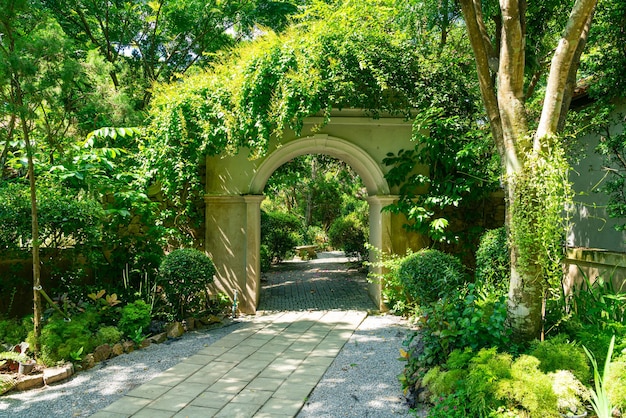 arche voûtée avec décoration d'arbre dans le jardin