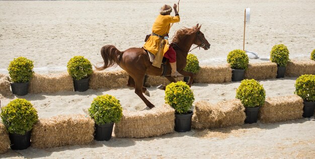 Archer cavalier ottoman équitation et tir