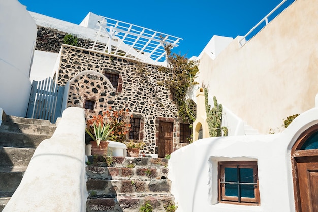 Architecture nationale grecque, terrasse fleurie. Île de Santorin, Grèce.