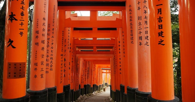 Architecture portes et temples torii pour la religion voyage et point de repère traditionnel pour la spiritualité bouddhisme culture japonaise et voyage à Kyoto zen et prière ou chemin par Fushimi Inari Shinto