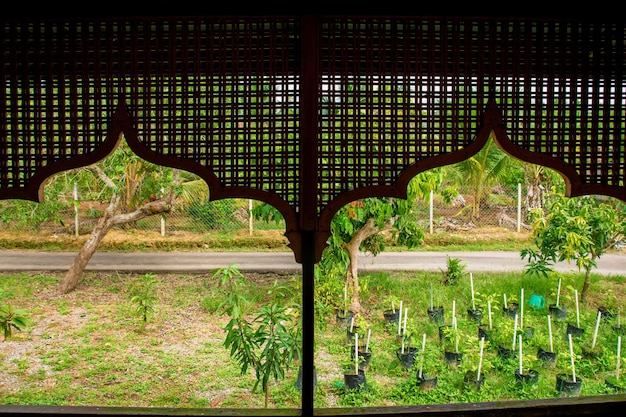 Architecture de style malaisien traditionnel à Perlis Malaysia