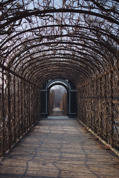 Archway