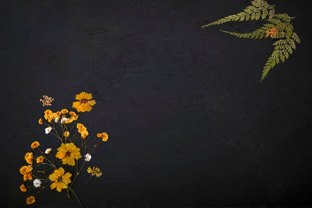 ardoise avec texte spatial avec fleur et plante