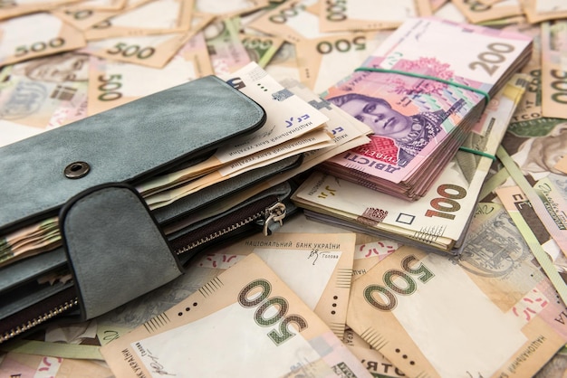 L'argent du portefeuille des femmes en espèces Hryvnia ukrainienne .