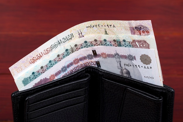 L'argent égyptien Livres dans le portefeuille noir