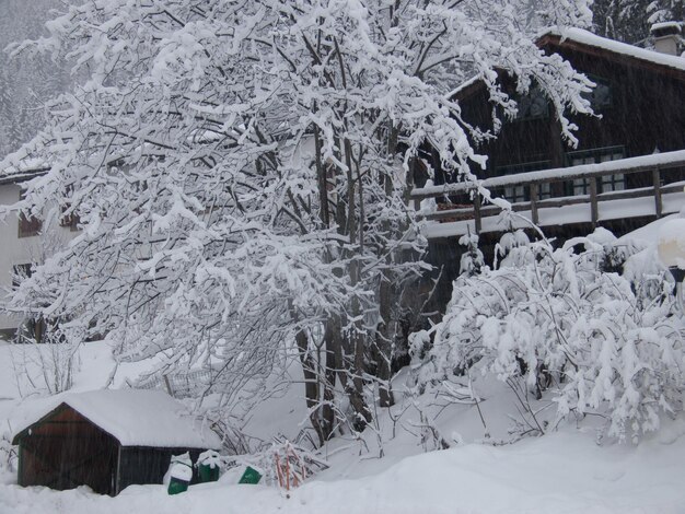 Argentierechamonixhaute savoiefrance