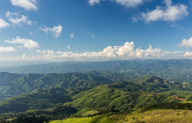 Ariel vue sur la montagne de la forêt