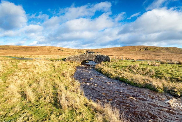 L'Arkle Beck